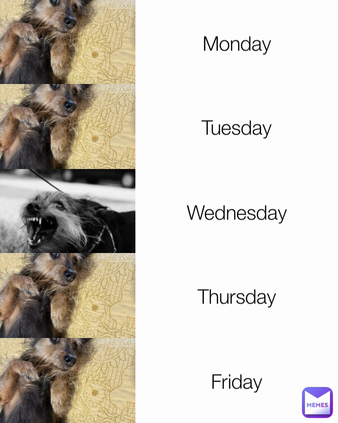 Wednesday Thursday Monday Tuesday Friday