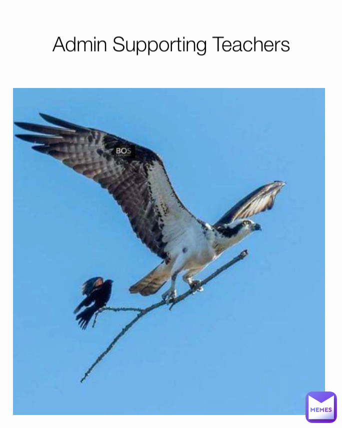 Admin Supporting Teachers