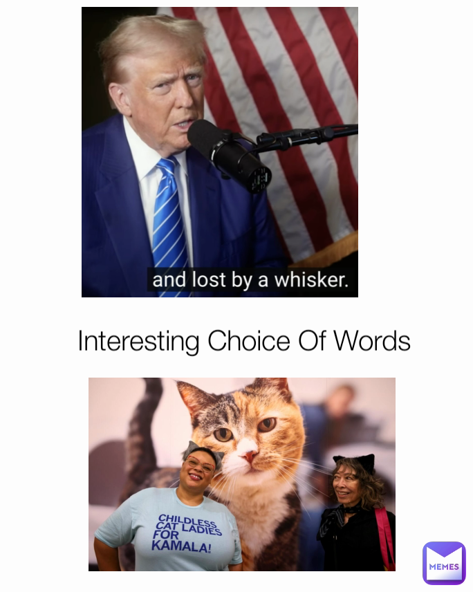 Interesting Choice Of Words