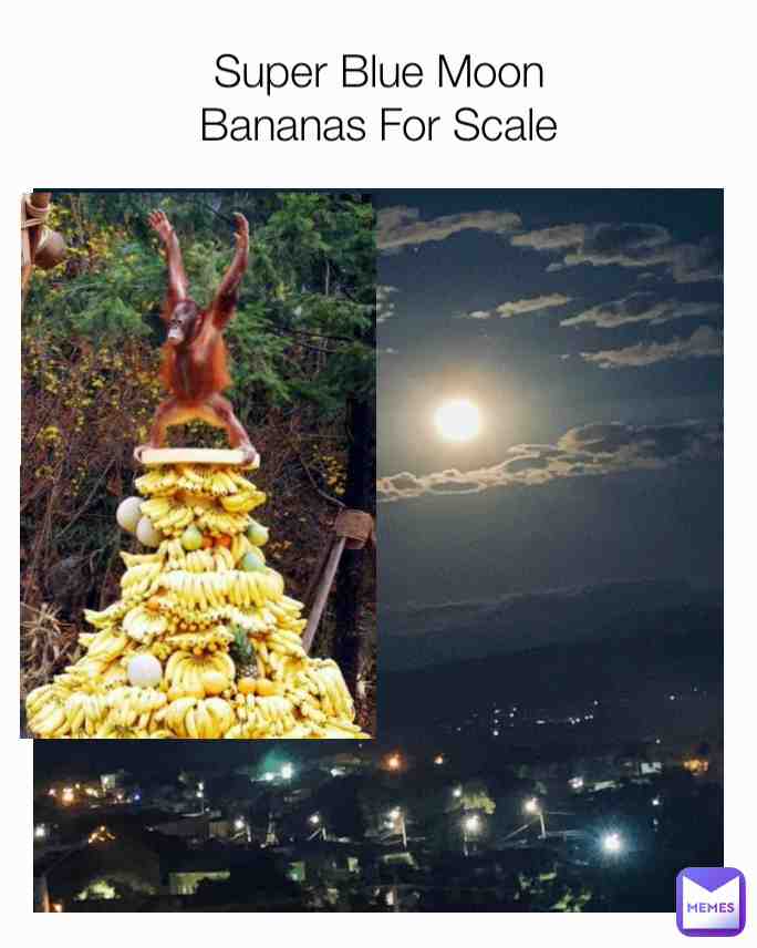 Meme shared by @J.Jam