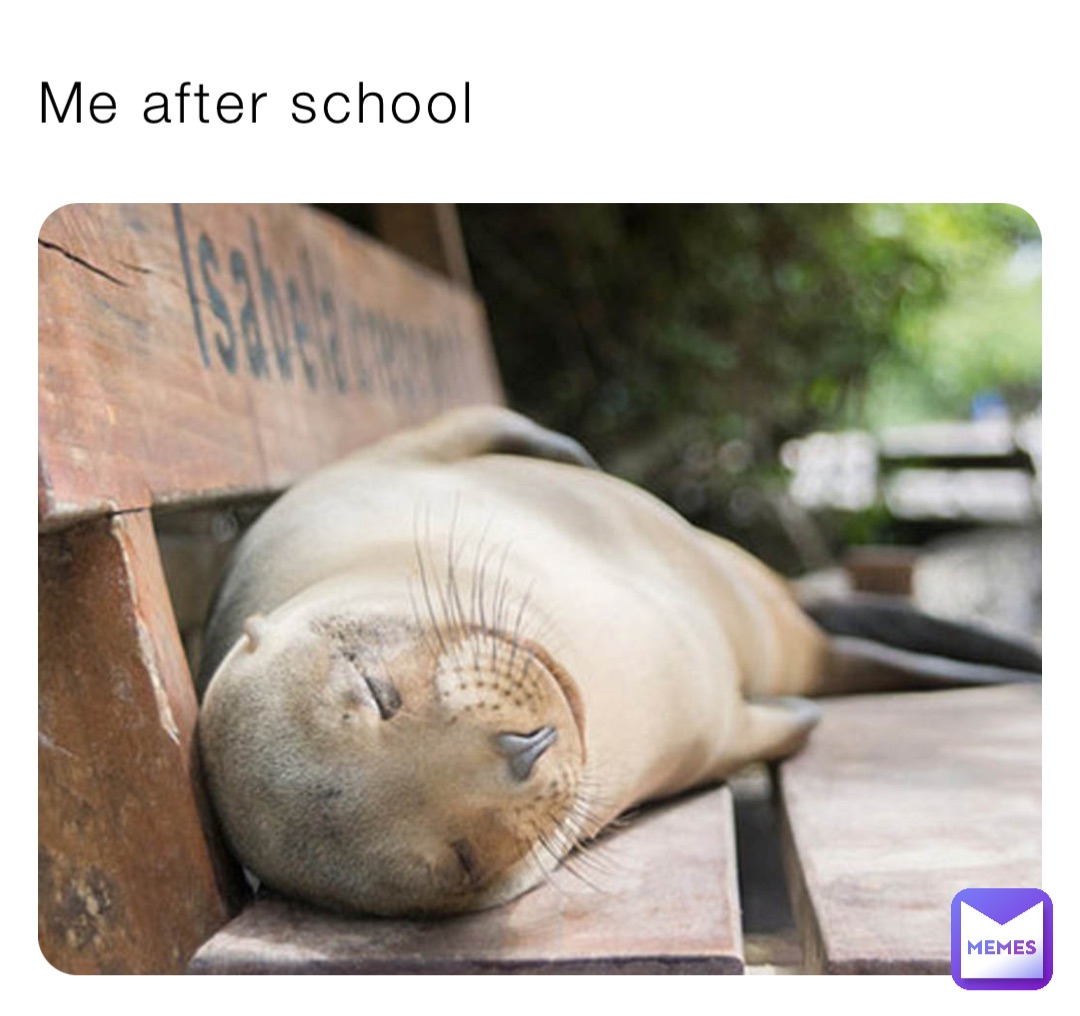 Me after school