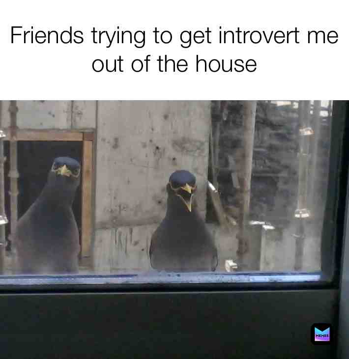 #shareit #sharewithfriends #forward #comment #friends #introvert #angrybirds #birds #house #dubai #memes #meme #memesdaily #memestagram #memesrlife #memeoftheday #memelife #memer #memeaccount #memelord