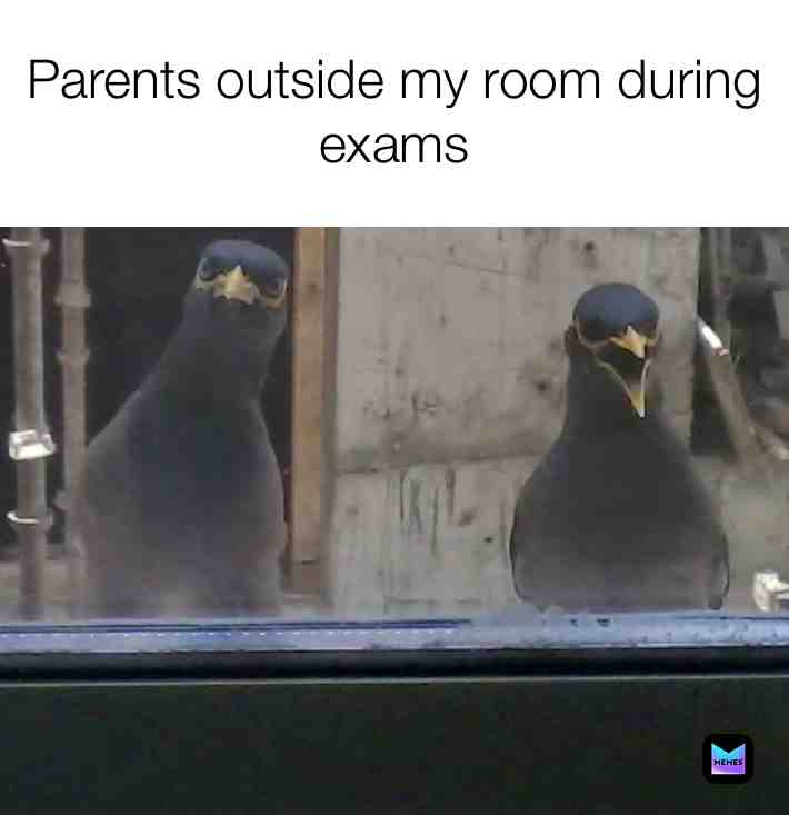#parents #exams #room #angrybirds #memes #meme #memesdaily #memestagram #memesrlife #memeoftheday #memelife #memer #memelord #memeaccount