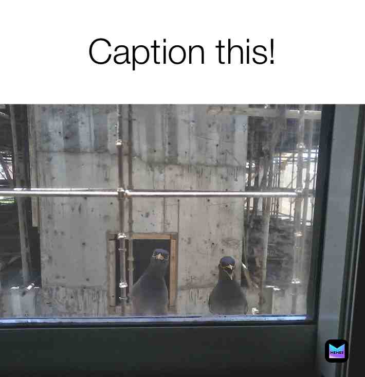 #captionthis #caption #captionthischallenge #captionmeme #caption_this #caption #memes #meme #memesdaily #memestagram #memesrlife #memeoftheday #memelife #memer #memeaccount #memelord #memes #meme #memesdaily #memestagram #pleasecomment #memesrlife #comment #docomment #commentbelow #comment4comment