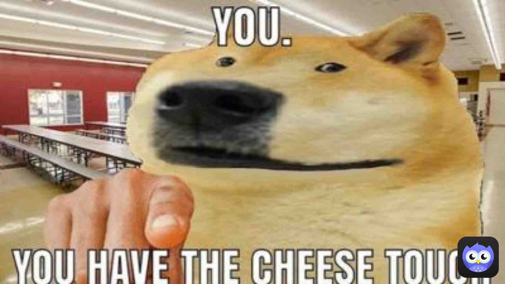 3rd graders when you touch a girl:
 #original  #memes  #memesdaily  #doge