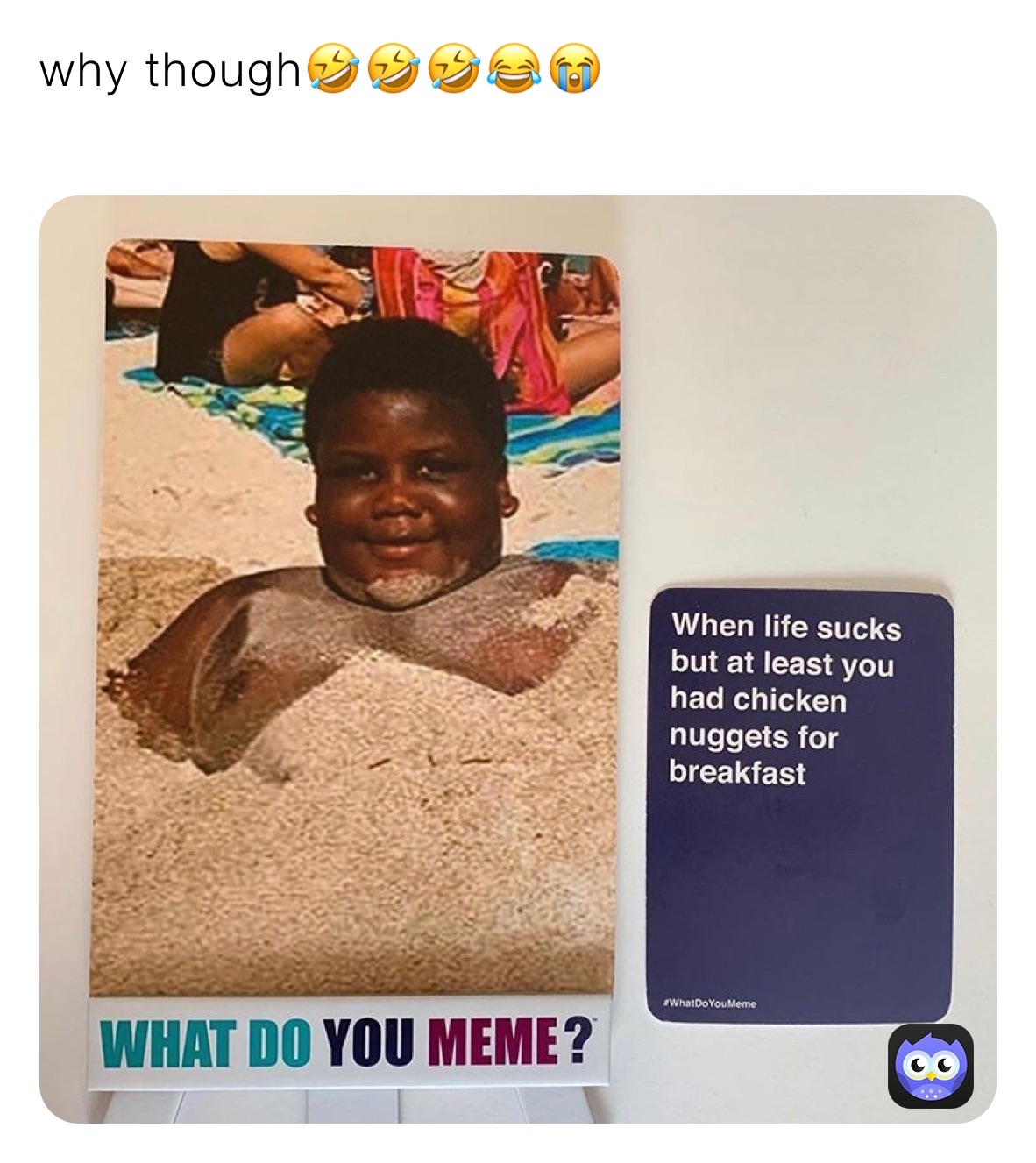 why though🤣🤣🤣😂😭
