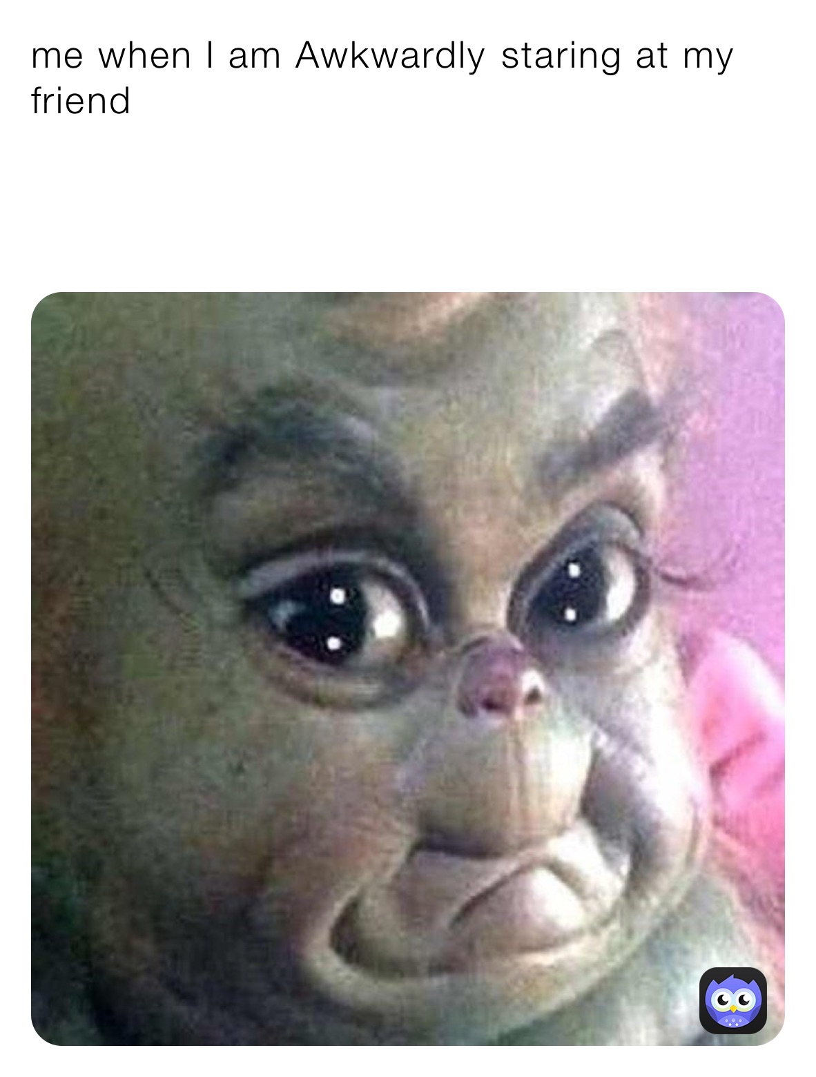 Meme by ferret123456