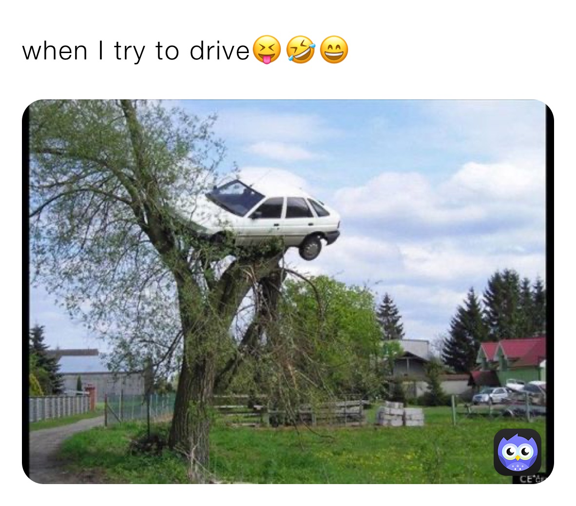 Meme by ferret123456