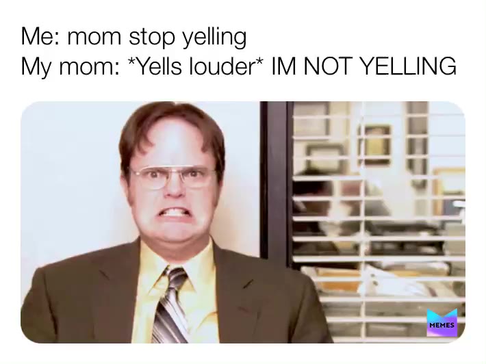 It’s true tho XD   #theoffice   #dwight   #singlemomproblems   #yelling   #funny   #lolmemes   #sotrue