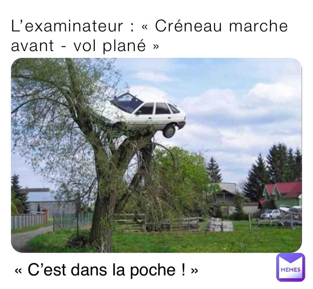 Meme shared by @clara_1638202235