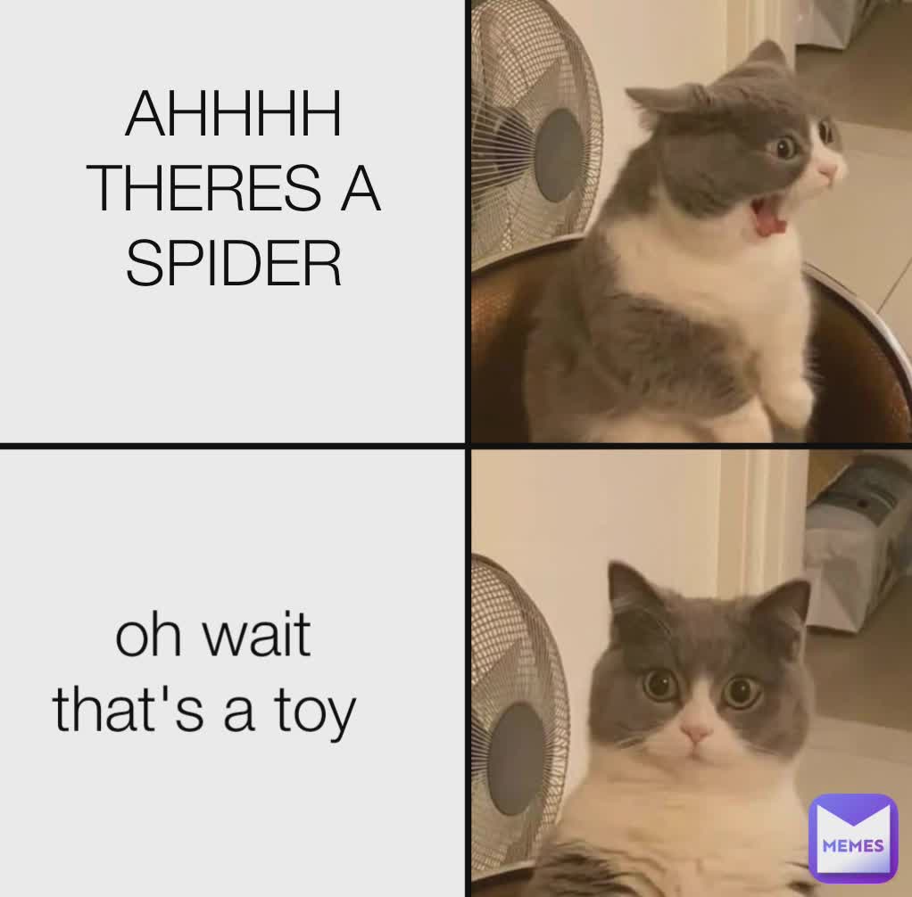 AHHHH THERES A SPIDER
 oh wait that's a toy 
