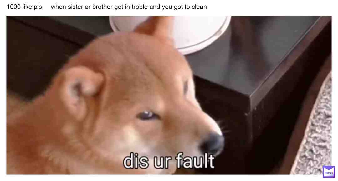 #lovememes