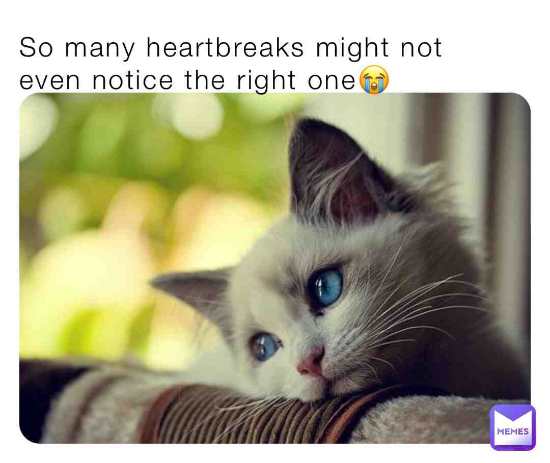 Meme shared by @crpdc64mrb
