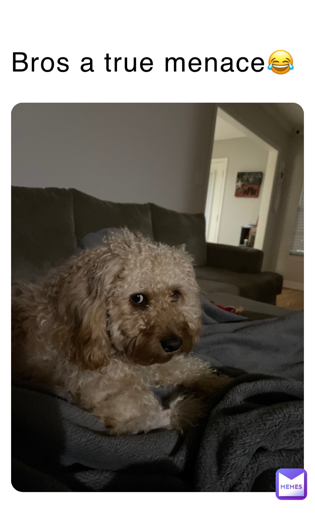 Bros a true menace😂