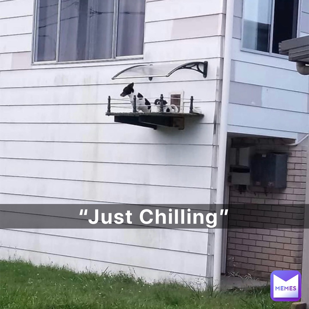 “Just Chilling”