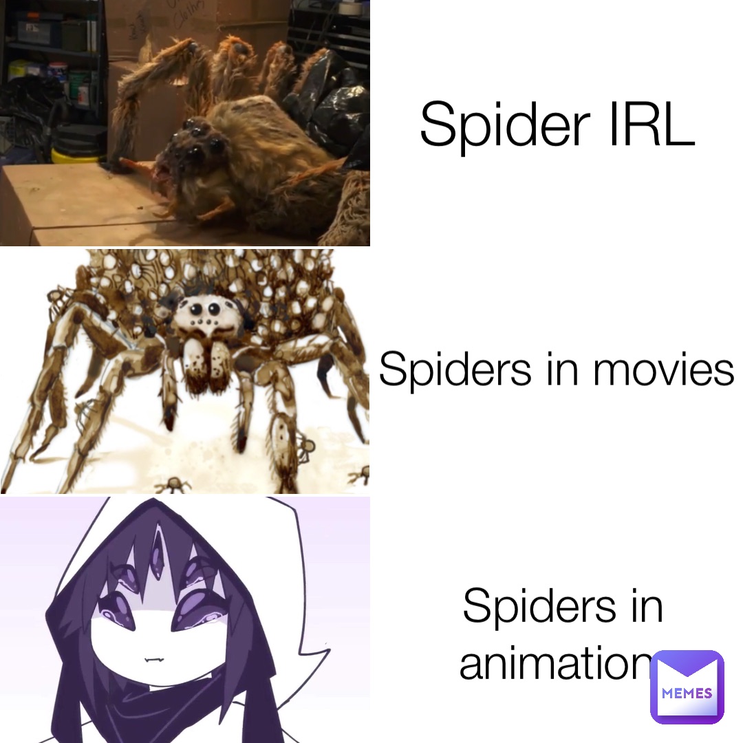Spider IRL Spiders in movies Spiders in animation