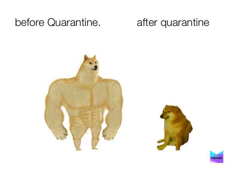 #lol  #dog  #quarantine
