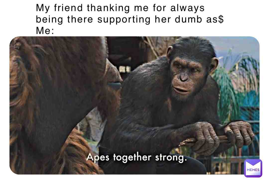 #friendship #hoes #apes #dumbass #dumb #friend #brosbeforehoes #bros #sisters #sis #fy #fyp #fyp