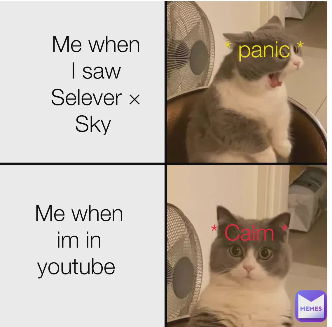 When i saw Selever × Sky  Me when I saw Selever × Sky  Me when im in youtube  * Calm * * panic *