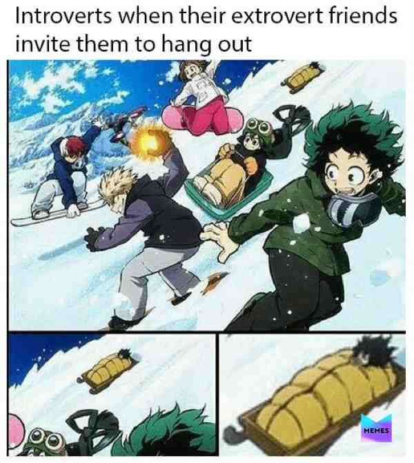 Meme shared by @Shoto__Todoroki