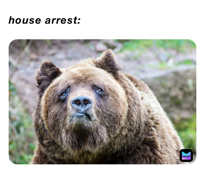 house arrest: