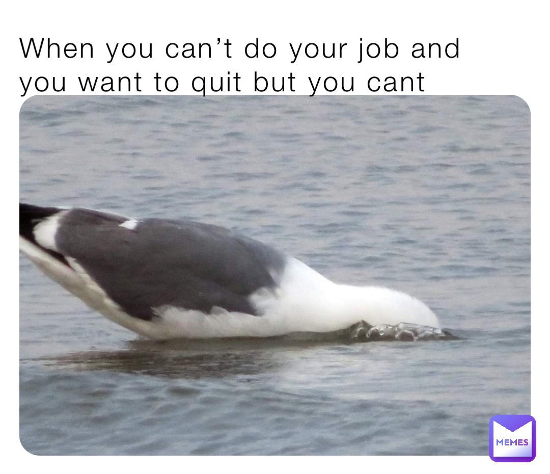When you can’t do your job and you want to quit but you cant