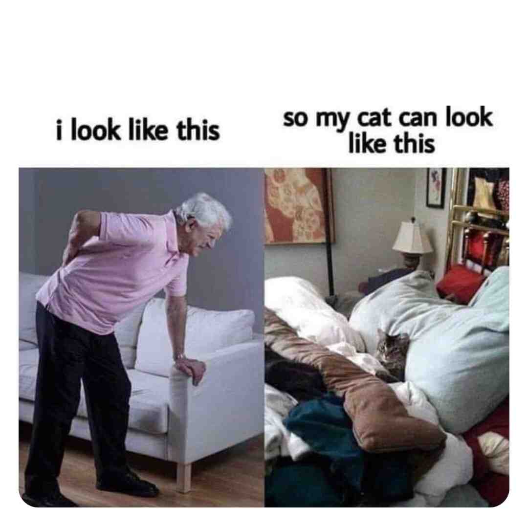 Meme shared by @thatgirlkarkar