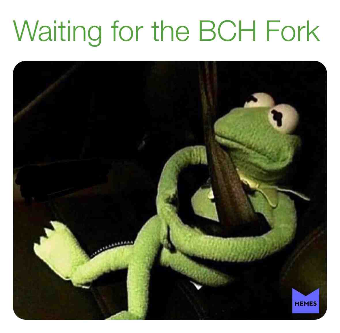 #Bitcoincash