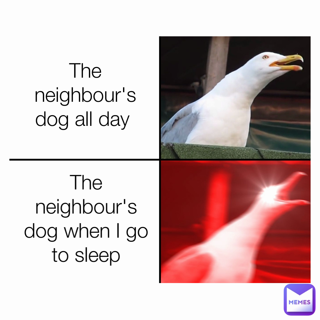 The neighbour's dog all day  The neighbour's dog when I go to sleep