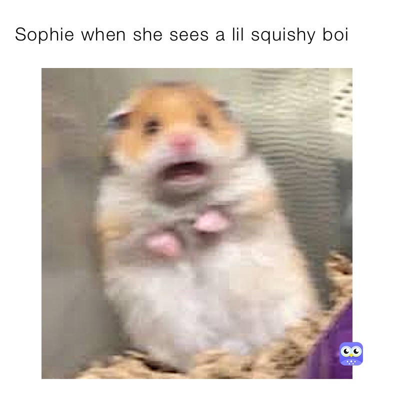 Sophie when she sees a lil squishy boi 