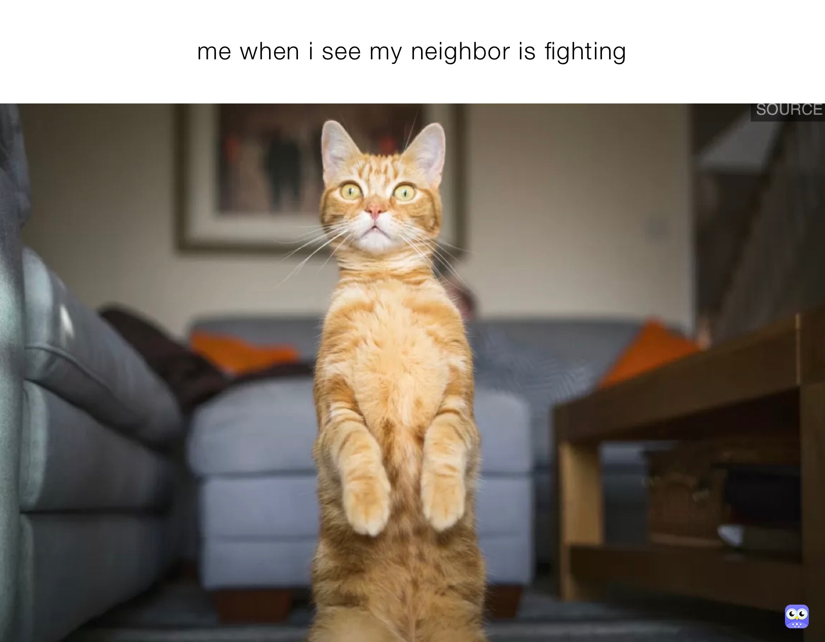 me when i see my neighbor is fighting 