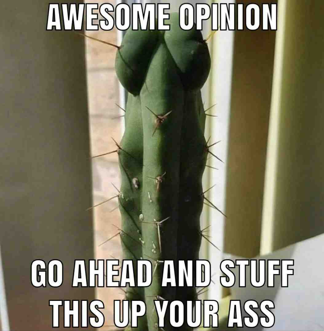 @mornincupojoe i think your haters need to see this....