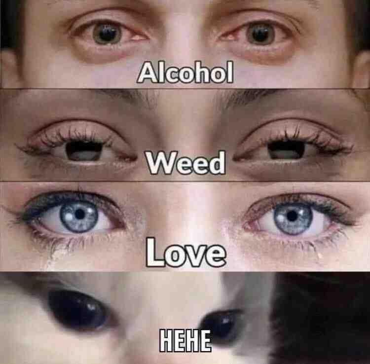 Hehe