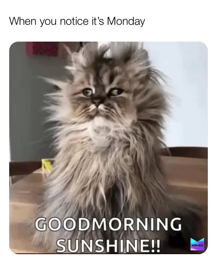 #struggles  #monday  #noooo