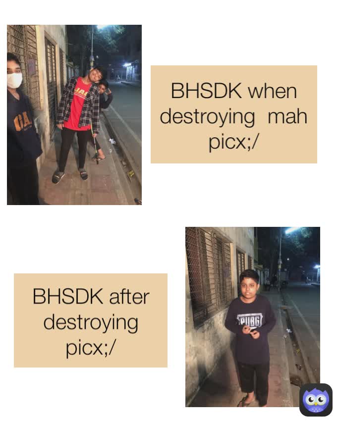BHSDK when destroying  mah picx;/ BHSDK after destroying picx;/
