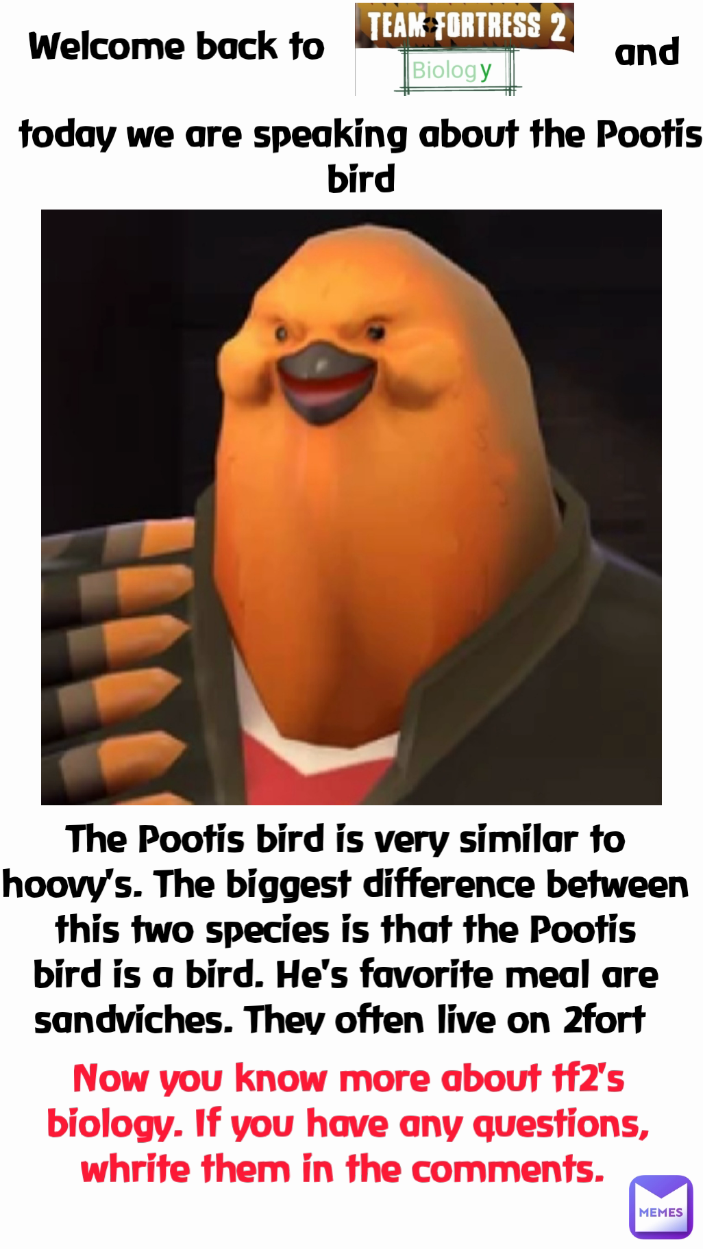 Now you know more about tf2's biology. If you have any questions, whrite them in the comments.  The Pootis bird is very similar to hoovy's. The biggest difference between this two species is that the Pootis bird is a bird. He's favorite meal are sandviches. They often live on 2fort  Welcome back to  and today we are speaking about the Pootis bird