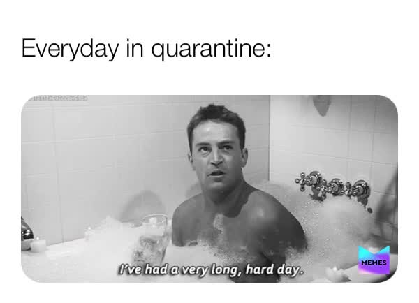 Sorry I have been away for awhile, but immm back😁  #friends  #friendmemes  #memes  #staysafe  #stayinside