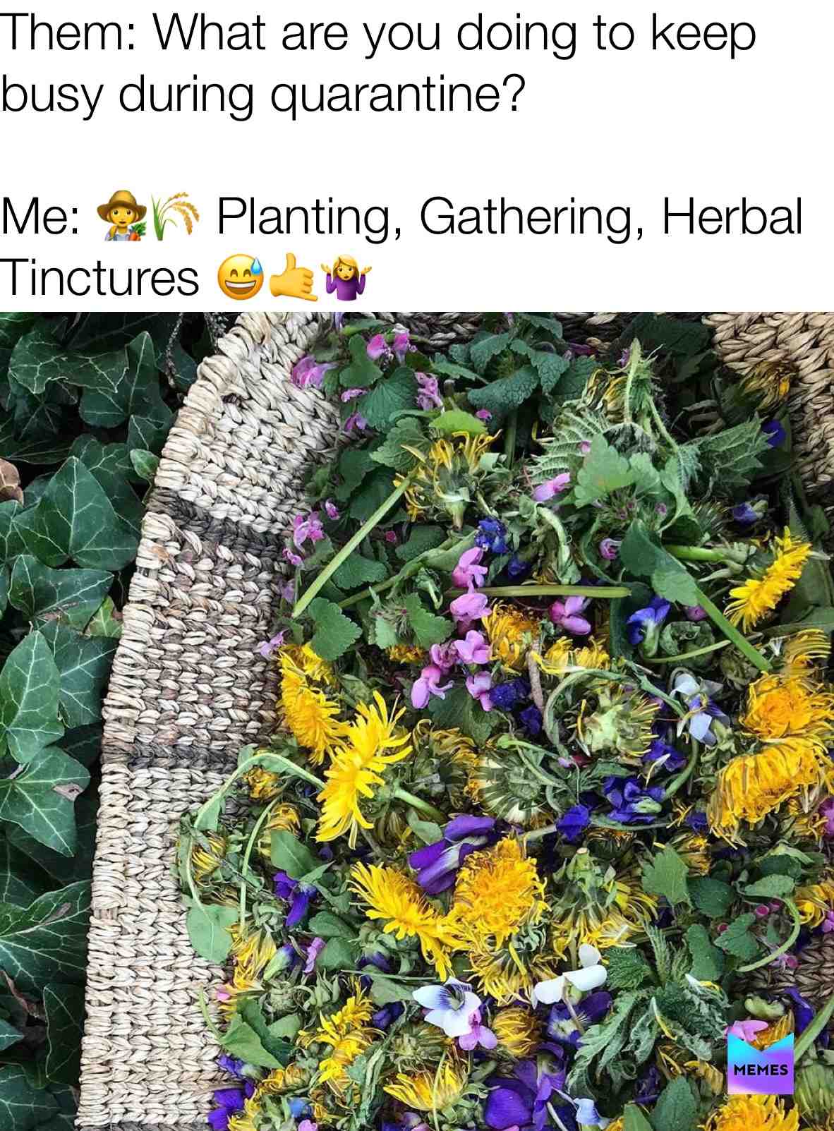 Join TRS, CBD, and All Things Detox on FB #herbal #cbd #trs #holistic