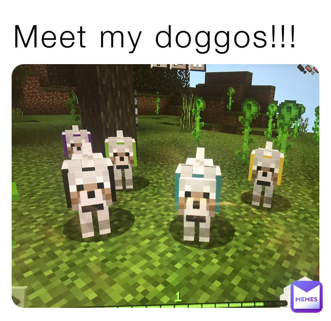 Meet my doggos!!!