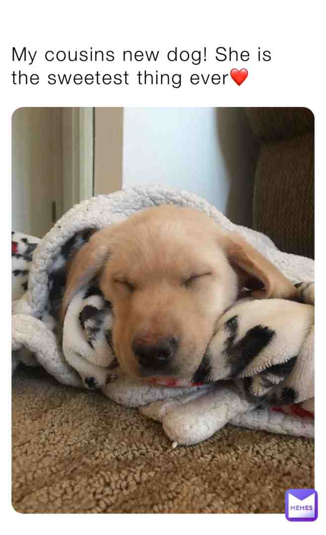 So sweet and calm