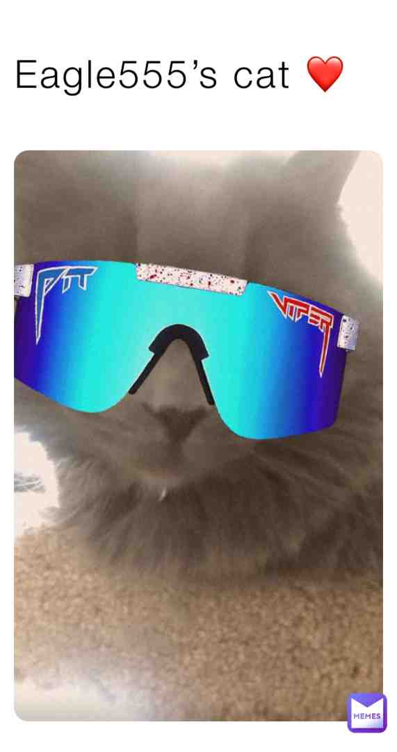😎+🐱=