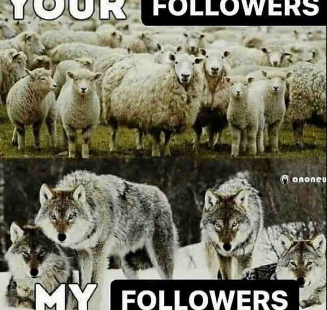 Let’s go guys!