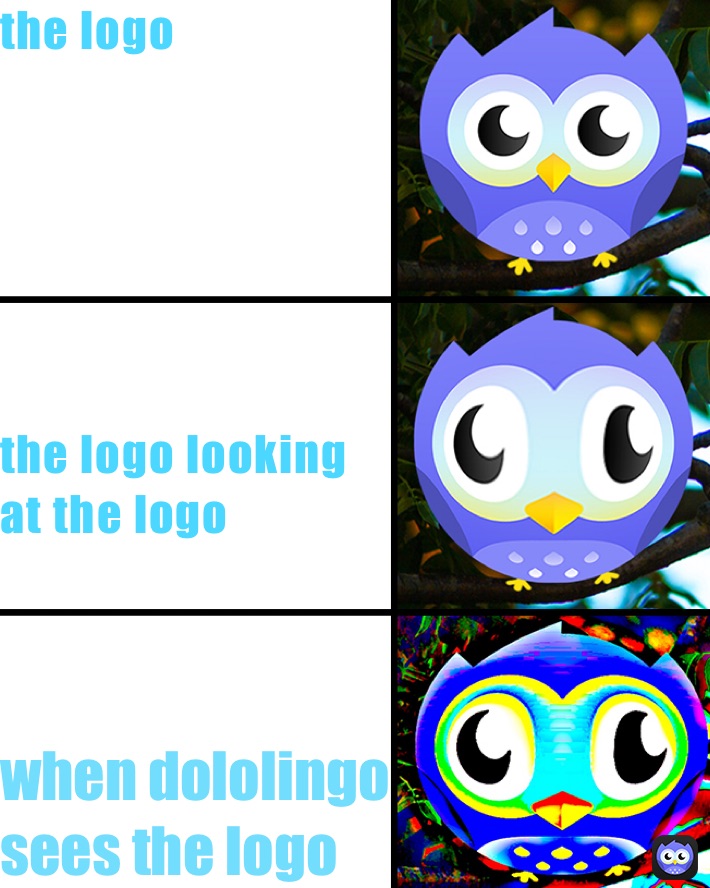 the logo






the logo looking                               at the logo  when dololingo                   sees the logo 