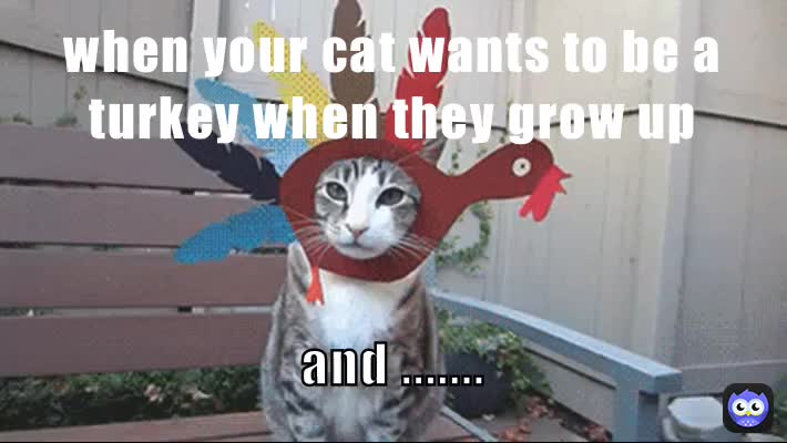 Meme preview