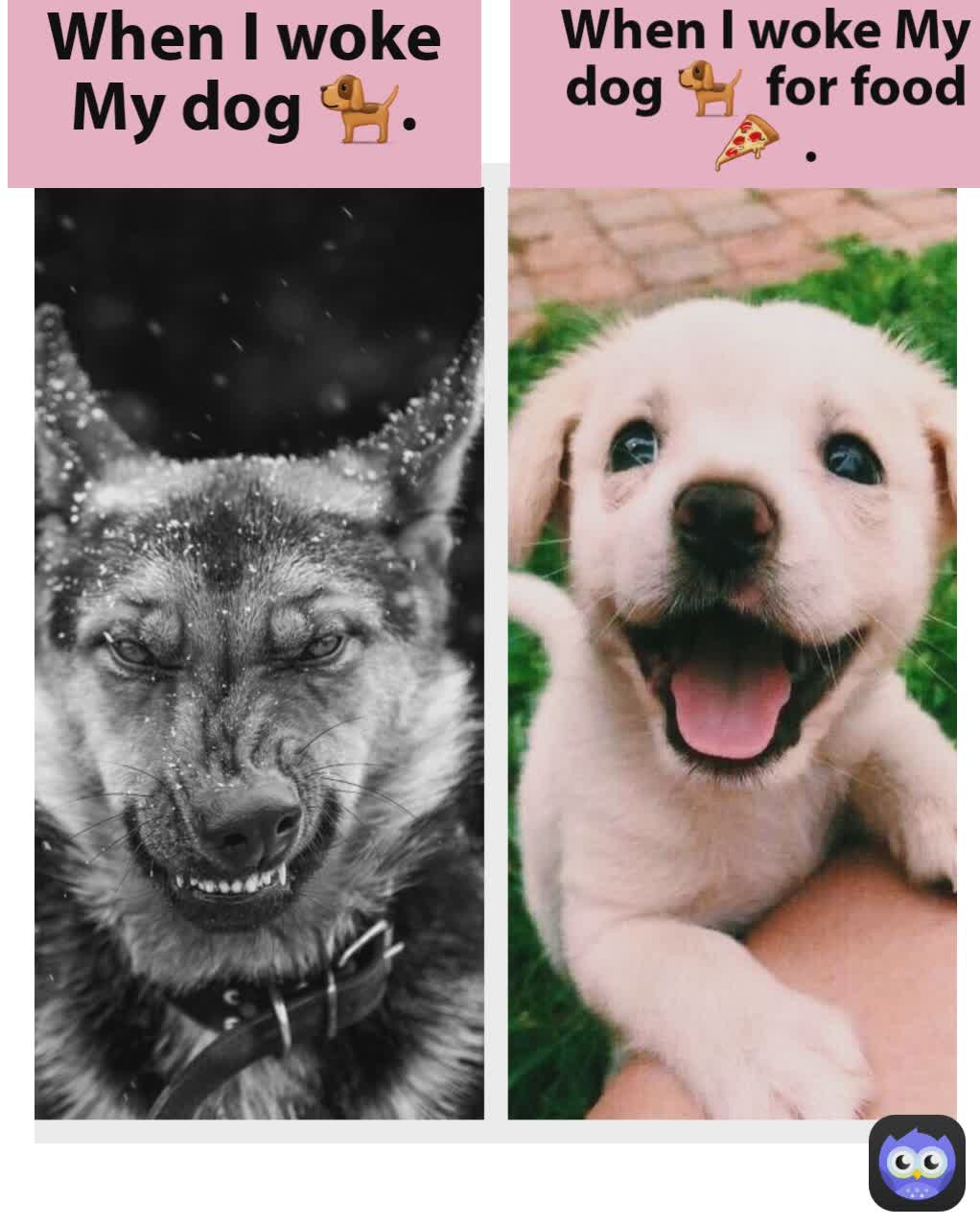 When I woke My dog 🐕  for food 🍕  .
 When I woke My dog 🐕.
