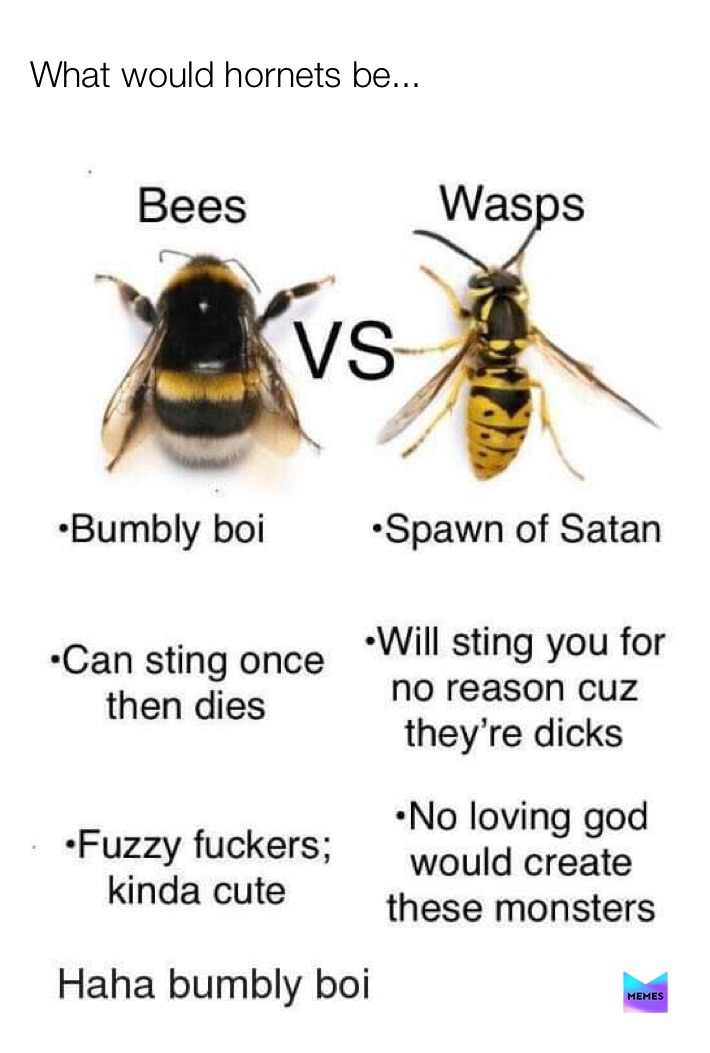 this is a wasp meme