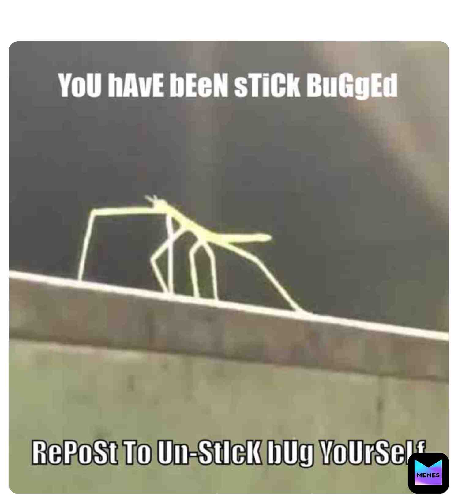 #@4XOOOOO