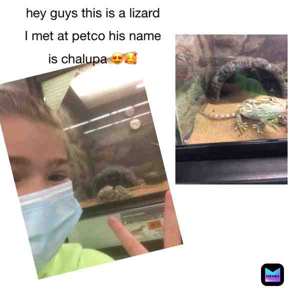 #freakingAmazinLizard