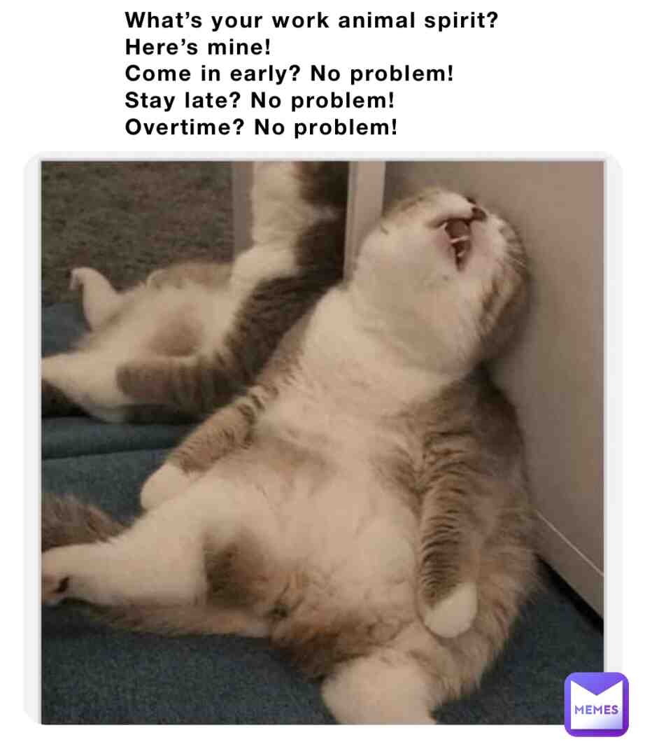 Meme shared by @criminaljustice1977
