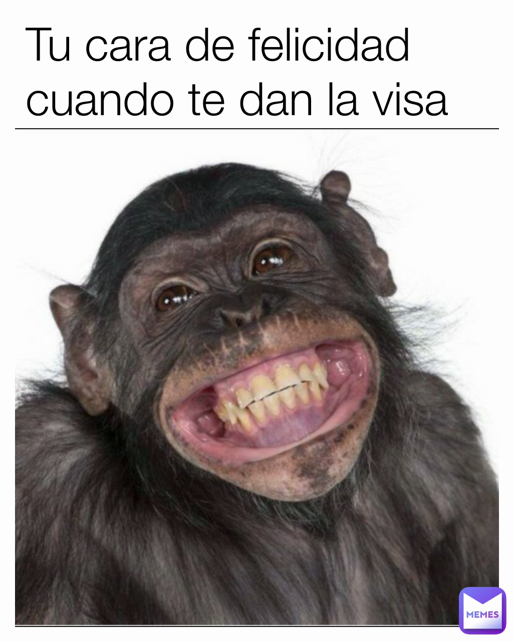 Tu cara de felicidad cuando te dan la visa